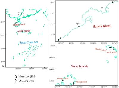 Adaptive changes of coral Galaxea fascicularis holobiont in response to nearshore stress